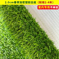 [Магазин фруктов/посвященное помещение] 2 см, шифрование пружинной травы/мягкий белый фон не падает остаток