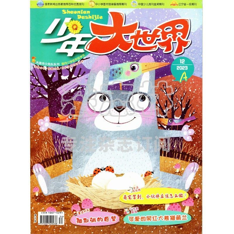 Youth World (A. Elementary School Lower Grade Edition) Magazine Subscription for January to December 2026/2023/2022