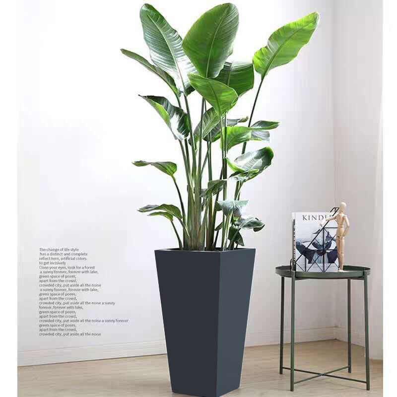 Imitation cement plastic thickened flower pot bird of paradise special pot square large simple Nordic style green plant pot