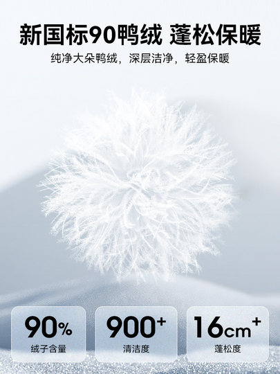 [Removable Liner] Yalu down Jacket for Men, New Autumn and Winter 2025 Outdoor Windproof Jacket, Thickened and Warm Coat