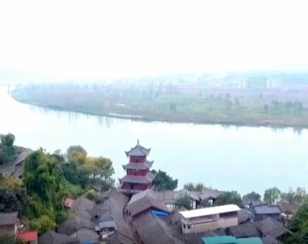 中意粮油