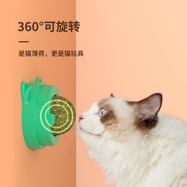 Catnip Ball Cat Toy Cleaning, ຕ້ານການກັດ ແລະ ບັນເທົາອາການເບື່ອສຳລັບລູກແມວ ແລະ ລູກແມວ