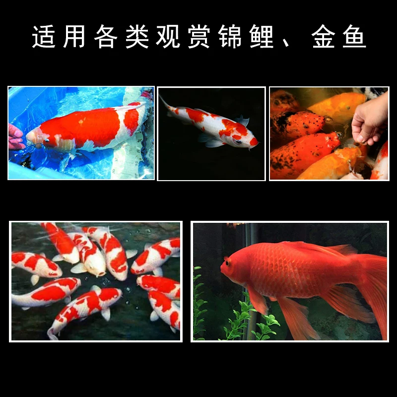 Корм для карпов koi, гранулированный корм для золотых рыбок мелкой фракции, универсальный цветной корм, не мутит воду, декоративные рыбки и зерновой корм для мелких домашних рыб