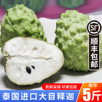 Thailands big-eye Sakyamuni imported pineapple Sakyamuni Buddha head fruit fresh annou pregnant woman fruit Shunfeng