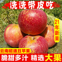 Yunnan Zhaotong ugly Apple crystal sugar heart Alpine apple fruit fresh pregnant women in the season a box of 10kg now picked