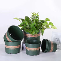 Flower pot special clearance thickened gallon flower pot resin plastic flower pot succulent green radish rose flower pot