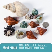 Antique products drift bottles materials shell accessories jewelry handmade accessories school-made decorative creative ornaments