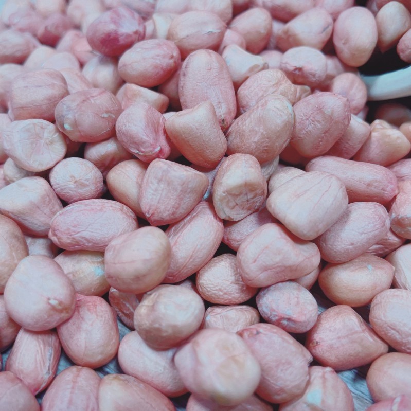 Henan 2022 New goods Peanut Rice Fresh Raw Peanuts Large Grain without shell selected Peanut Rinjin bagged bagged 5 kilos-Taobao