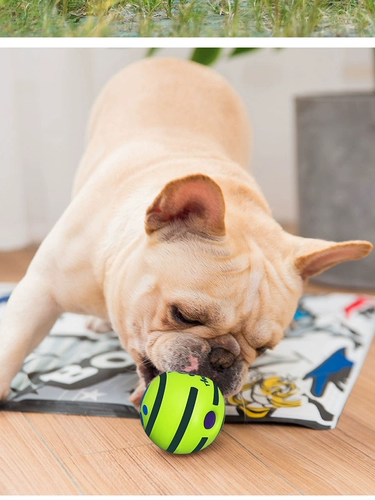 Nuo xin 5-20 фунтов щенка выделенных Vocal Ball Direct Sales Sales