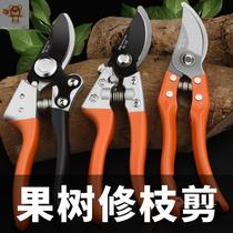 Tools Pruning Shears Flowers Florist Pruning Shears Pruning Shears Branches Shears Durable Baffle Shears Lengthening Grass Florist
