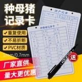 Двойная цветовая вида видов SOW записывает файл карты Файл 1 мм сгущенной свинома