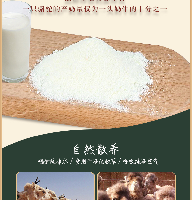 【刘洁代言】益生菌驼奶蛋白质粉好骆驼奶源