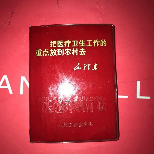 Authentic Old Book on Rapid Acupuncture Therapy, Original Old Edition of Traditional Chinese Medicine Book from 1969, Original 64-Page Format