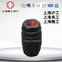 Shanghai Shanghaiwork Liangworkers H11T-16 silk buckle upright cast iron internal thread check valve DN15 20 25 40