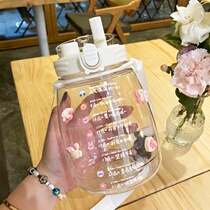 Net red water Cup cute Korean style food grade portable straw bucket high temperature capacity belly double cup mouth