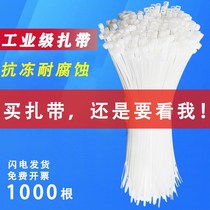 Self-locked nylon tie 1000 wires Zwire bundling beamline with theorizer large small and medium size black and white color