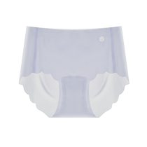 Catman ice silk seamless underwear for girls 2024 new summer ultra-thin style extended crotch triangle shorts womens underwear