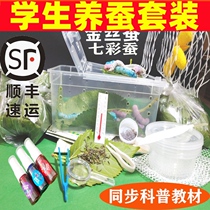 Silkworm rearing full set of silkworm baby suit student hatchbox raising bin box special tool larvae eggs Seven colorful mulberry leaves