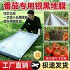 Silver and black two-color mulch film with holes for agricultural planting film