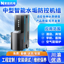 Medium-sized commercial intelligent reverse osmosis anti-scaling machine scale prevention and control unit equipment device hotel domestic scale