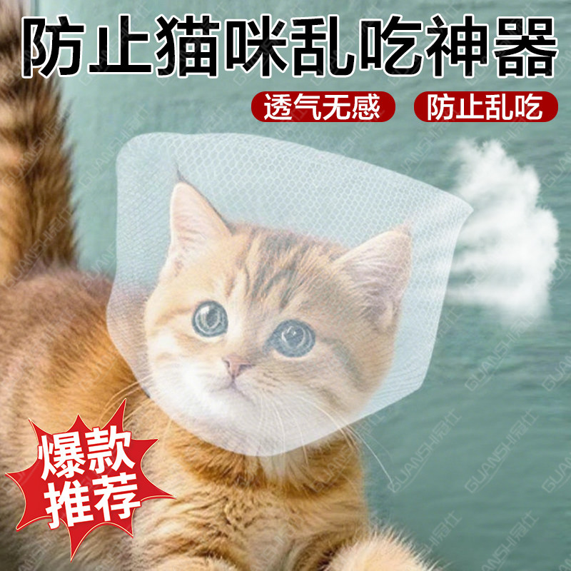 防止狗狗乱吃东西嘴套宠物猫狗防误食防舔专用头套户外口罩神器dx
