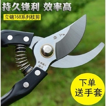 Garden fruit tree bonsai modeling special tool branch shears Bud scissors horticultural flower cutting scissors tree technology scissors pruning shears