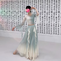 New Chinese style classical dance elegant gradient irregular streamers gauze skirt pants art test practice uniform performance performance set