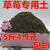Strawberry Soil Potted Season Strawberry Cultivation Earth Fertilizer Strawberry Special Nutritional Soil Balcony Cultivated Earth
