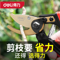 Deli fruit tree pruning shears branches floral art flower branch shears pruning garden tools flower pruning DL2770