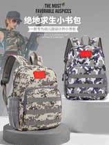 Childrens backpack male kindergarten 2022 new small schoolbag 3-6 years old cute baby primary school entrance backpack
