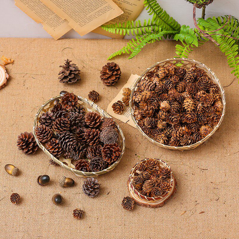 Pine cone decoration drying flower handmade diy material small pendant Christmas decoration kindergarten room decoration