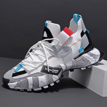 European Station Mens shoes 2022 Winter new wave Breathable Thin SPORTS CASUAL SHOES THICK BASE OLD DADDY SHOES MANS SHOES