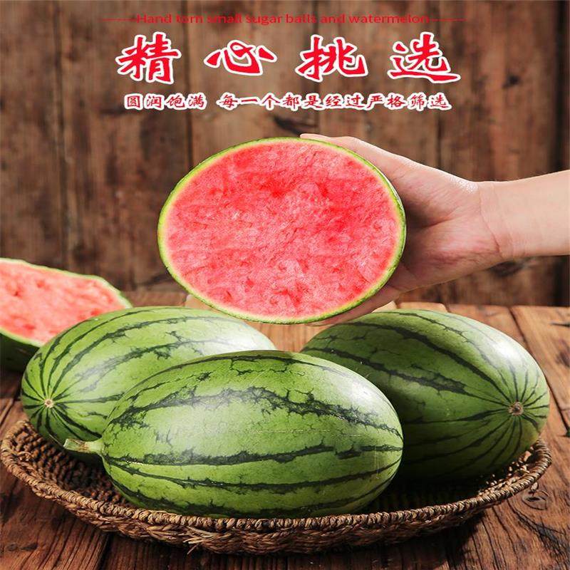 手剥皮小西瓜2K小糖丸西瓜:夏日解暑神器,一口一个甜蜜暴击🍉!-西瓜-淘宝百科网