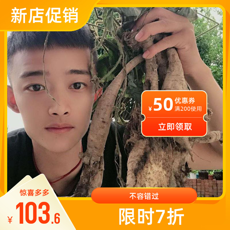 (Aliang Liang) Xuancheng farmhouse self-produced root powder 1 catty