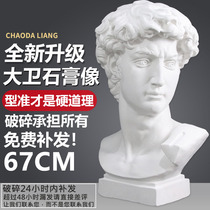 David plaster head Art teaching aids Studio sketch Large figure statue model ornaments Decorative still life sculpture