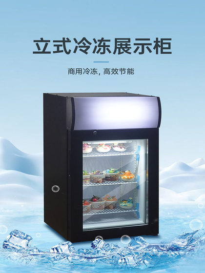 迷你冷冻小型冰柜哈根达斯冰淇淋雪糕立式展示柜冰激凌酸奶冰冰箱