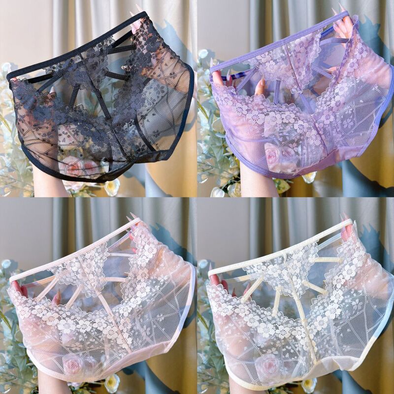 Breathable Sweet Triangle Panties, Mid-High Waist Underwear, Hollow-Out New Transparent Lace, Sexy Mesh, French Style, Light Luxury High Waist