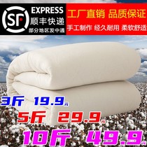Cotton quilted quilted cotton wool bed cushion quilted by the core cushion bedding quilted cushion winter quilt warm and thickened by the students dormitory