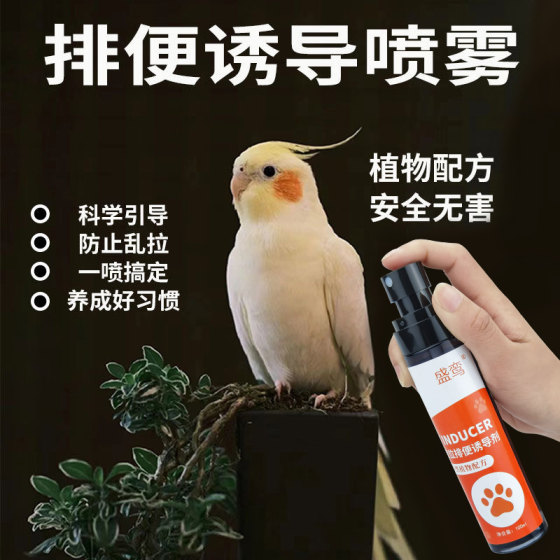 鹦鹉定点排便诱导剂防止乱拉宠物鸟训练上厕所神器引导大小便喷雾