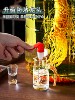Special Wine Bottle for Soaking in Alcohol, Food-Grade Ginseng Wine-Making Jar with Spout, Thickened Glass Sealed Container, Liquor Storage Jar