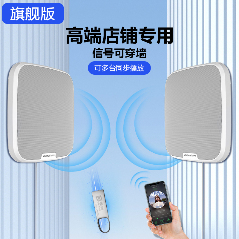 Wall Soundwall Wall-mounted Bluetooth Sound Commercial Supermarket Dining Room Cafe Milk Tea Shop 3D Surround Stereo Low Sound Cannons