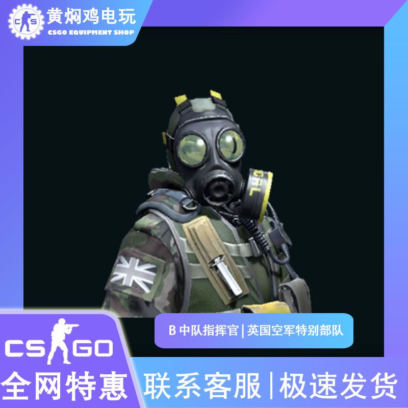 Csgo Agent B Squad Commander British Air Force Special Forces Ct Police Character