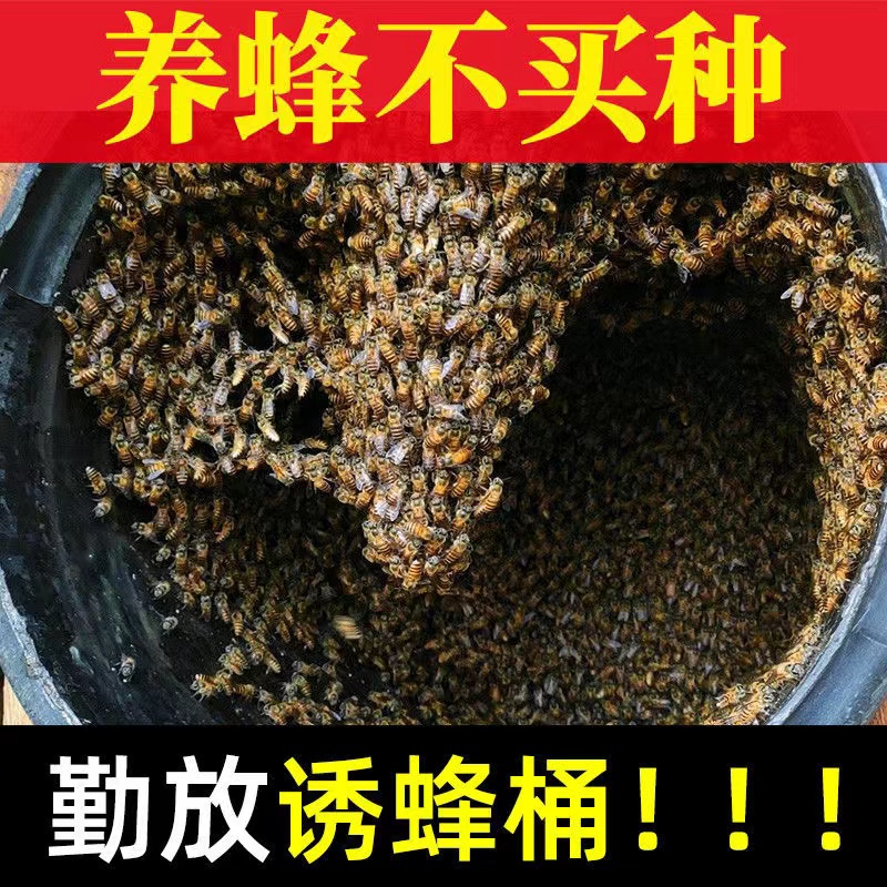 Bee trap plastic barrel sealed black 18-liter round barrel with lid special field recruiting bee hydroponic wax collection bee cage