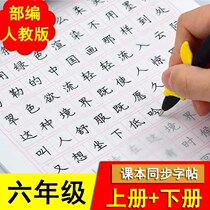 Middle Palace Gros Calligraphy Copybook Elementary School Students in the 6th grade The upper and lower books of the upper and lower register of people teach the simultaneous hard pen and pen in block letters.