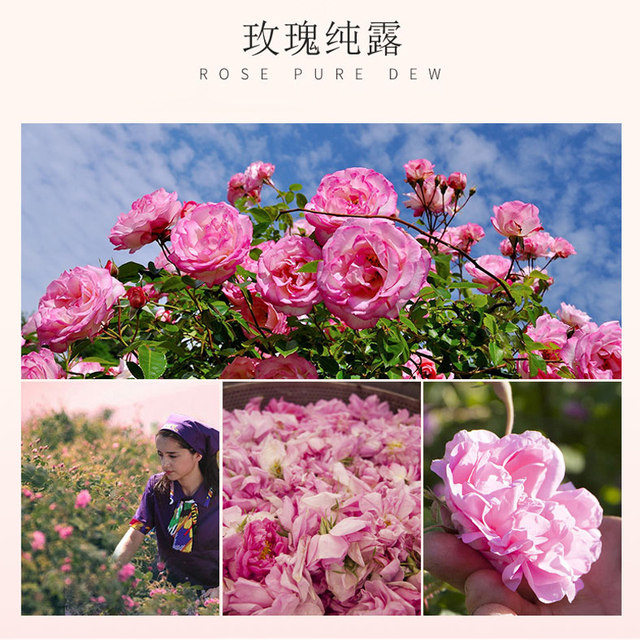 Xinjiang Ipalhan Rose Hydrosol Water 80ml Spray Damascus Flower Water Skin Hydrating Moisturizing Toner