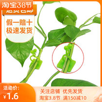 Green Lovine Vine Green Plant Without Mark-free Punch Sticking wall Climbing Upper Wall God Instrumental Self-adhesive Self-adhesive Wire Grip