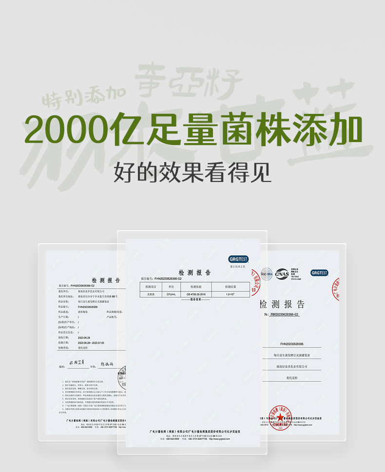 安享好物 安享E级含乳饮料-好益多羽衣甘蓝 每日益生菌 国标 