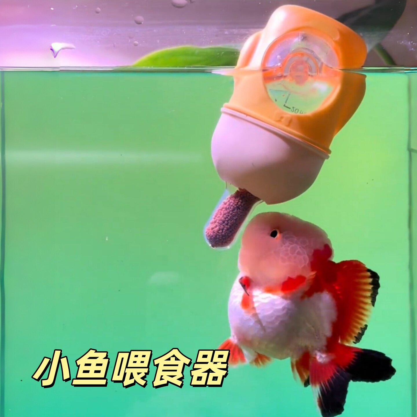 懒人必备!自动喂鱼神器小型喂鱼奶瓶🐟-喂食器-淘宝好物网