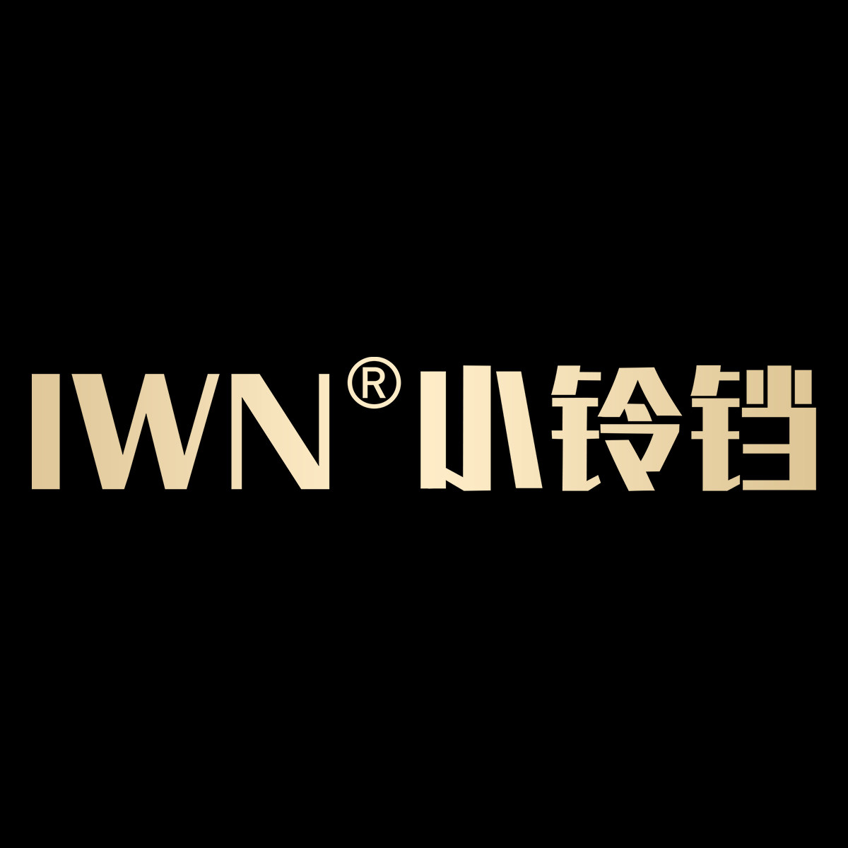 iwn旗舰店