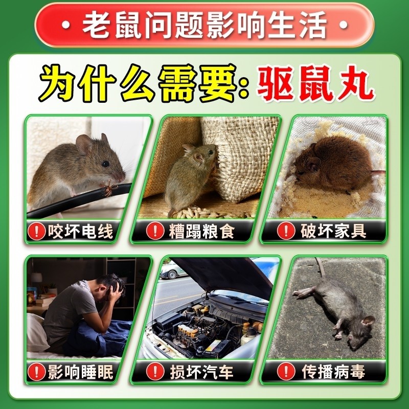 强效驱鼠丸：2025版室内室外车用灭鼠黑科技